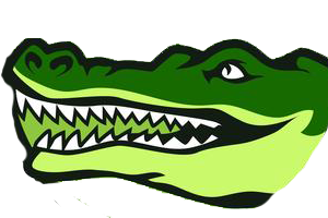Ngwaketse Logo